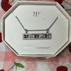 BP Silver Necklace with Brown Accents